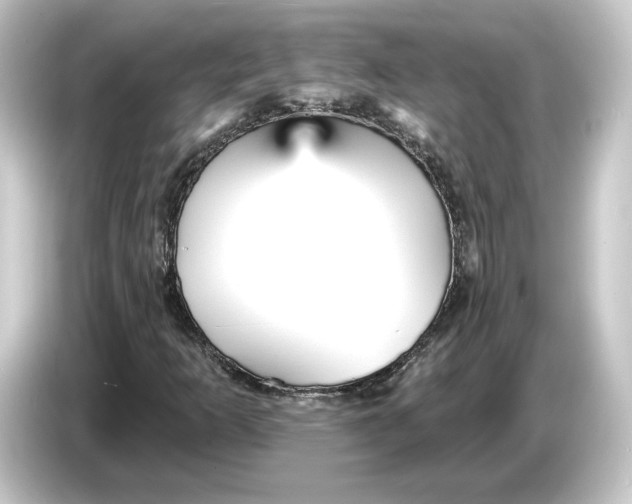 X0000084541253200703161621