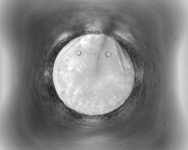 X0000084541254200703161621