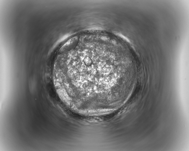 X0000084541255200703161621