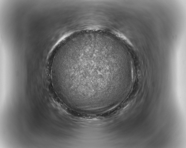 X0000084541256200703161621