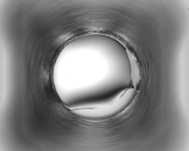 X0000084541257200703161621