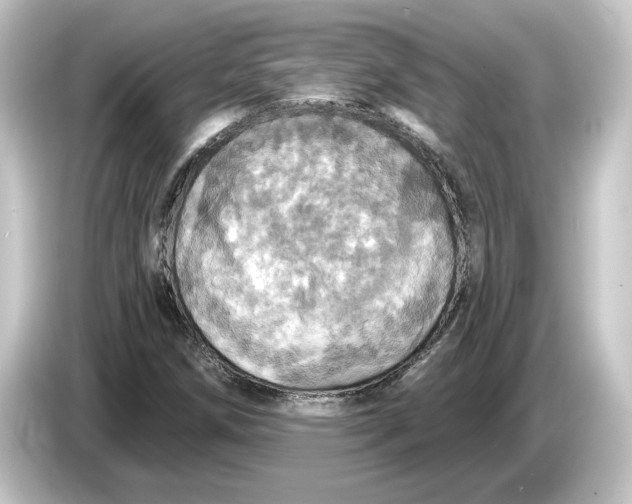 X0000084541258200703161621