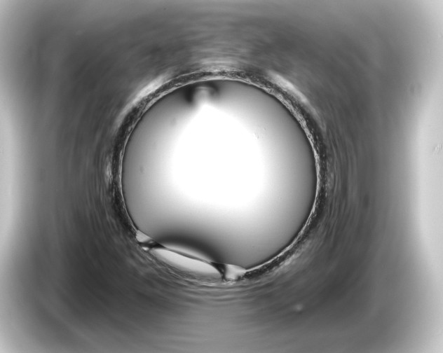 X0000084541261200703161621