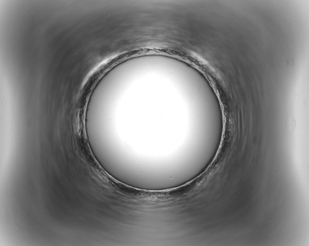 X0000084541262200703161621