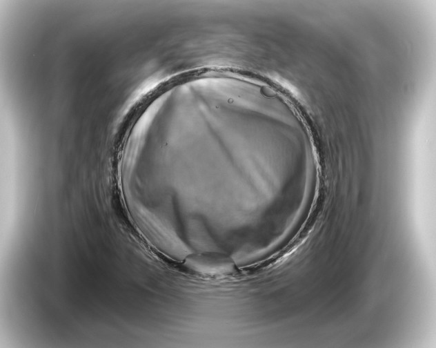 X0000084541263200703161621