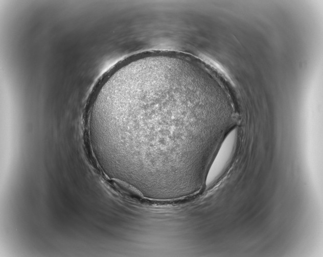 X0000084541264200703161621