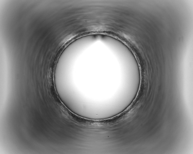 X0000084541265200703161621