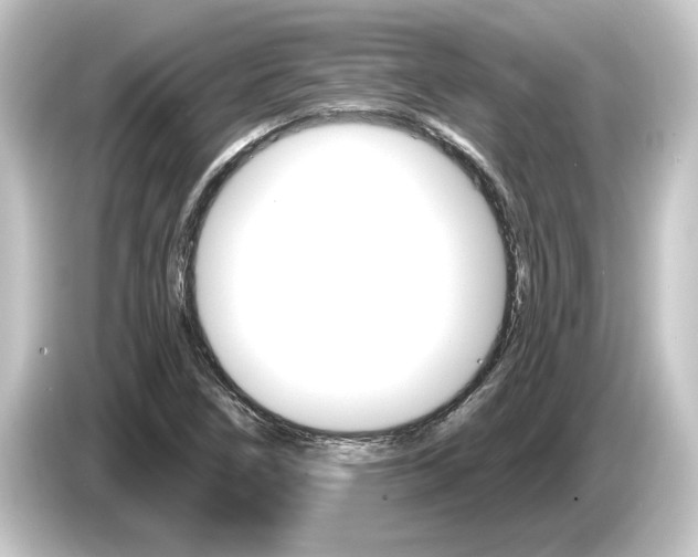 X0000084541266200703161621