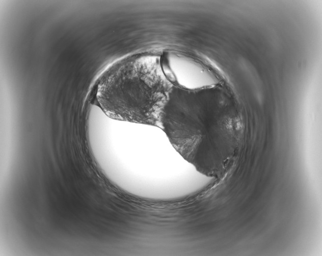 X0000084541267200703161621