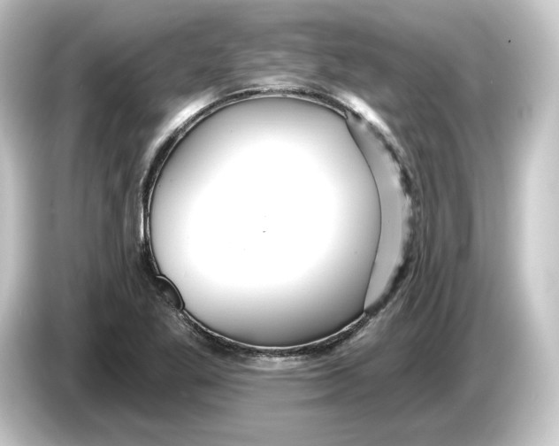 X0000084541269200703161621