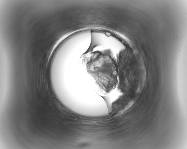 X0000084541271200703161621