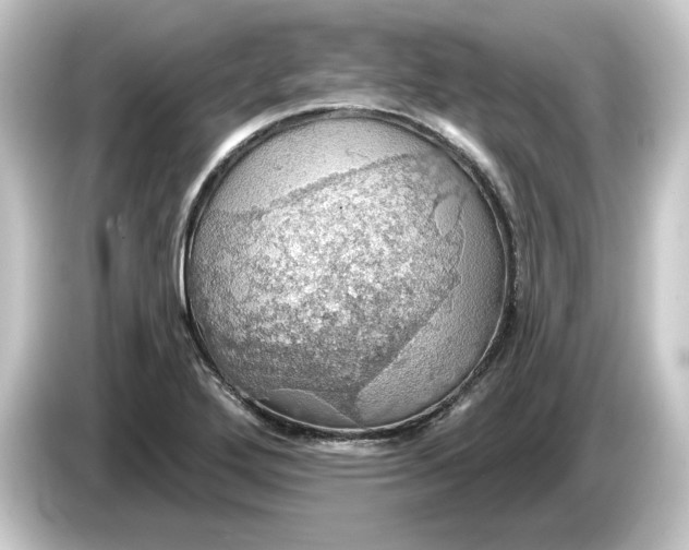 X0000084541272200703161621