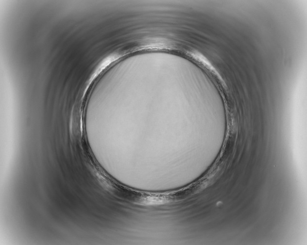 X0000084541274200703161621