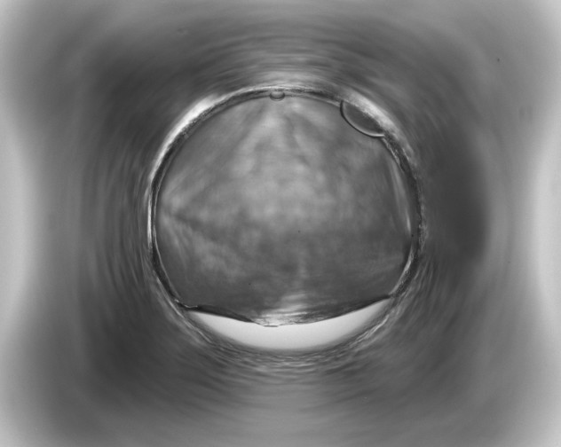 X0000084541275200703161621