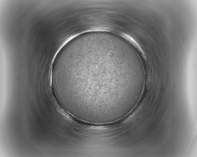 X0000084541276200703161621