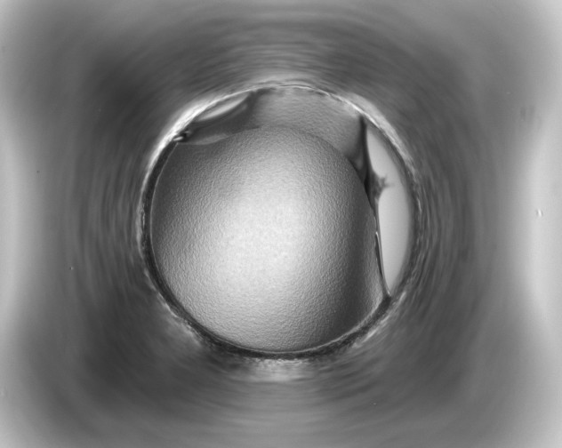 X0000084541277200703161621