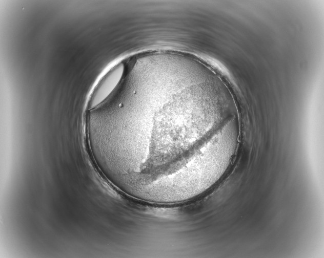 X0000084541280200703161621