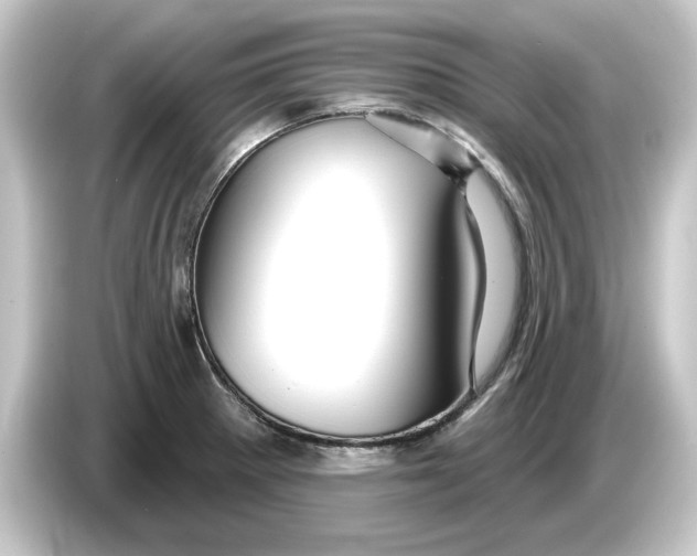 X0000084541281200703161621