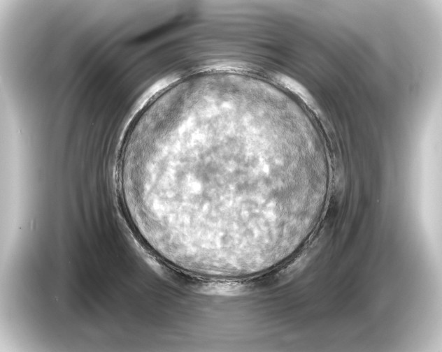 X0000084541282200703161621