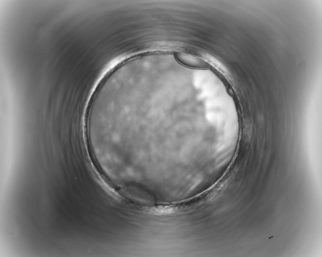 X0000084541283200703161621