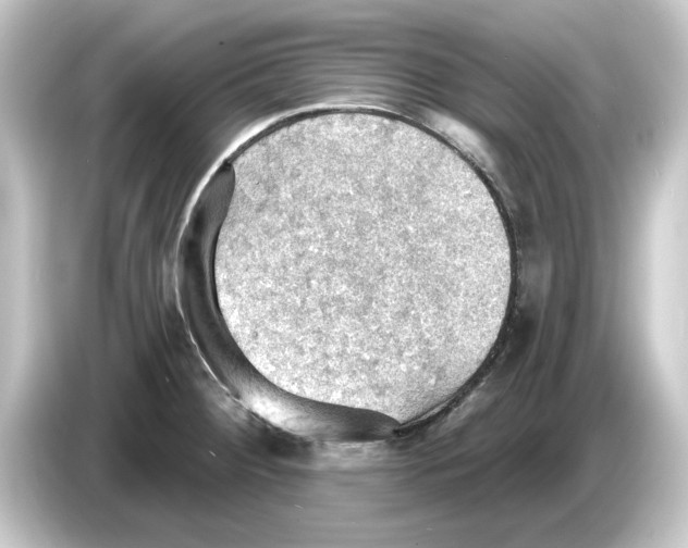 X0000084541284200703161620