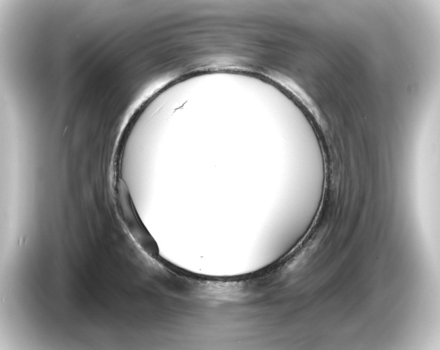 X0000084541285200703161620