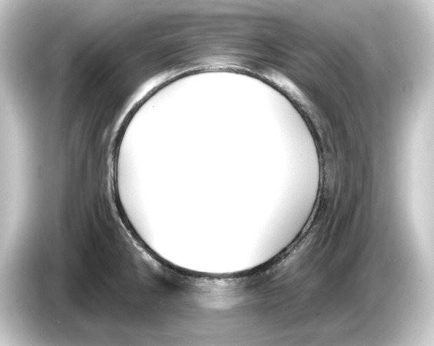 X0000084541286200703161620