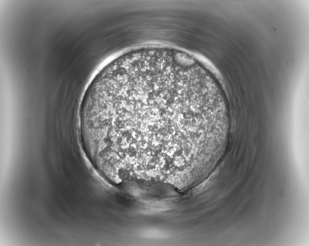 X0000084541287200703161620