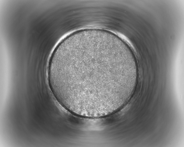 X0000084541288200703161620