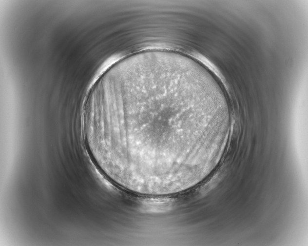 X0000084541290200703161620