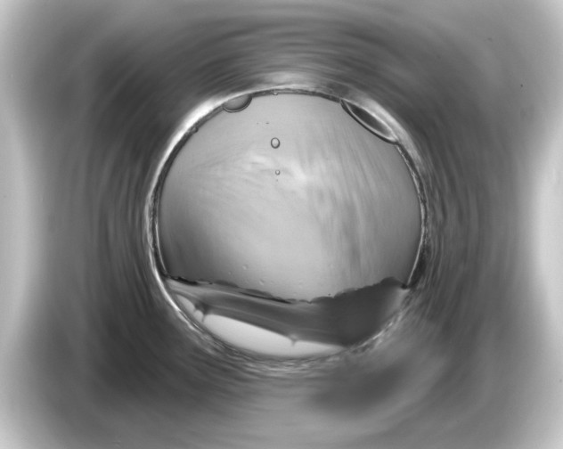 X0000084541291200703161620