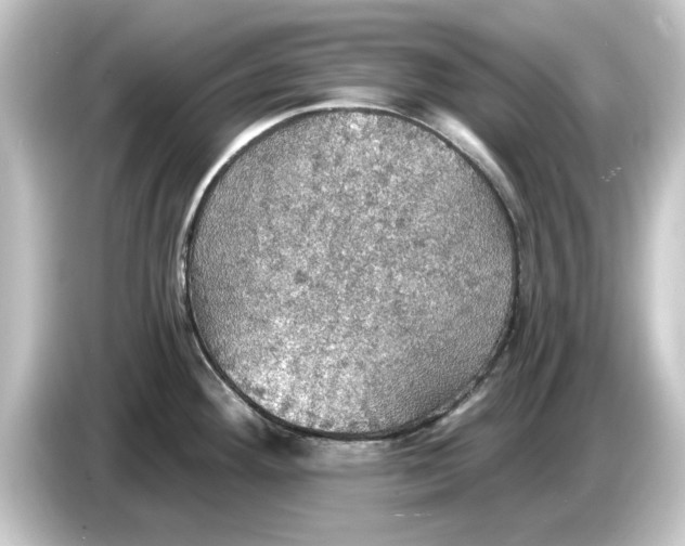 X0000084541292200703161620