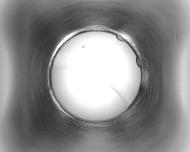 X0000084541295200703161620