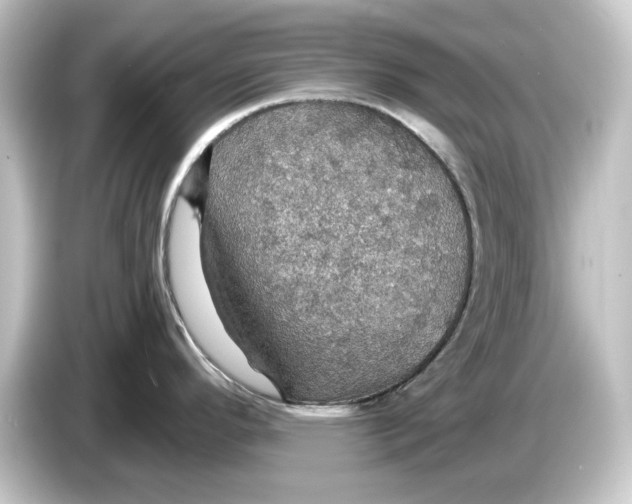 X0000084541296200703161620