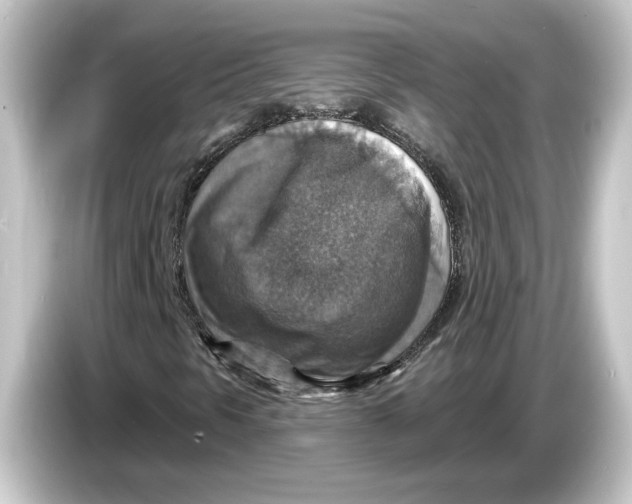 X0000084541297200703161620