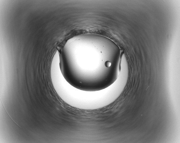 X0000084541298200703161620