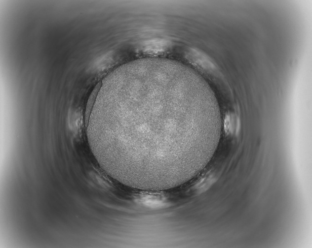 X0000084541299200703161620