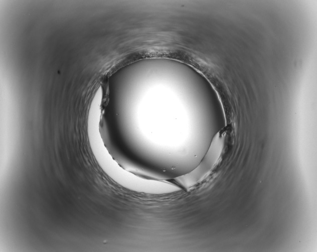 X0000084541300200703161620