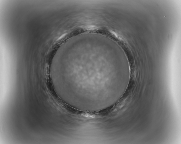 X0000084541301200703161620