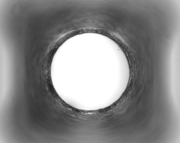 X0000084541303200703161620