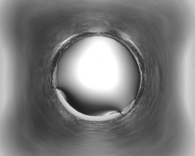 X0000084541304200703161620