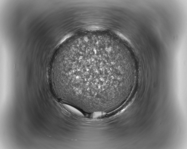 X0000084541305200703161620