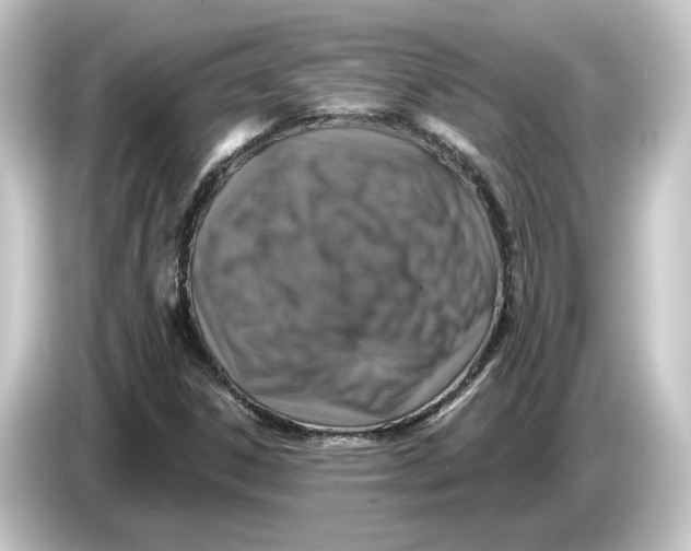 X0000084541306200703161620