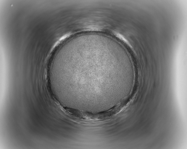 X0000084541307200703161620