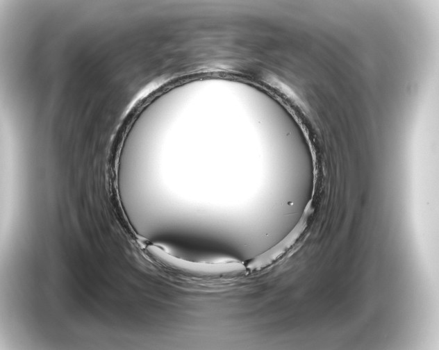 X0000084541308200703161620