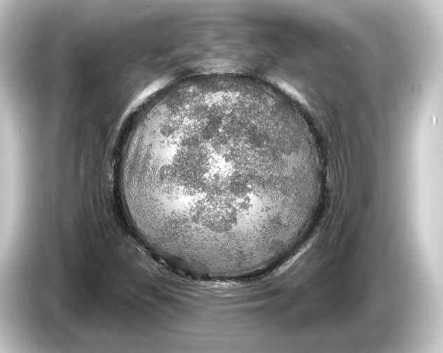 X0000084541309200703161620