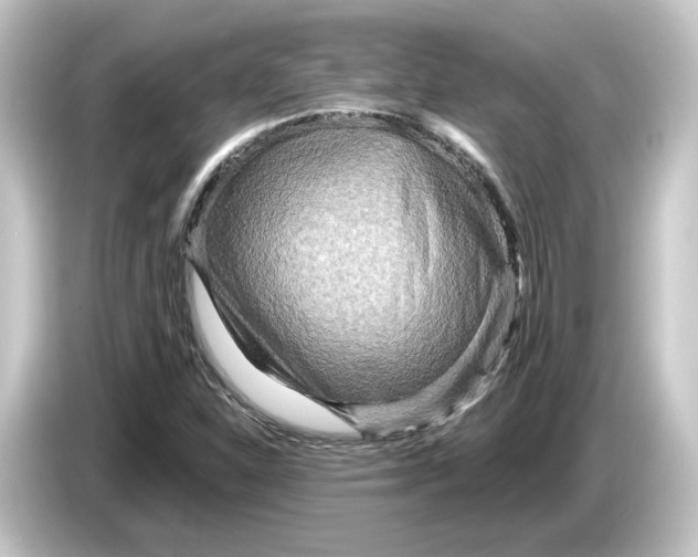 X0000084541310200703161620