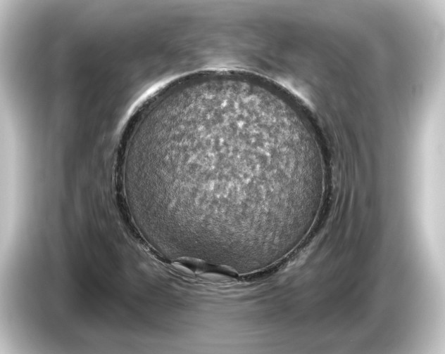 X0000084541311200703161620