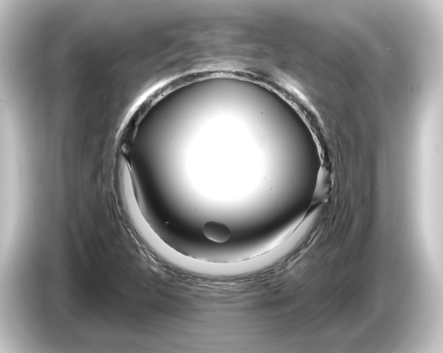 X0000084541312200703161620