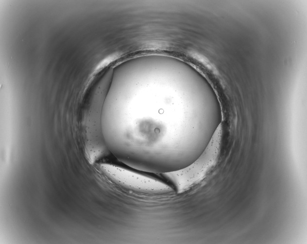 X0000084541314200703161620